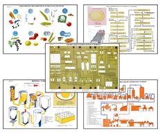 Плакаты ПРОФТЕХ "Сырье и материалы хлебопекарного производства" (20 пл, винил, 70х100) - fgospostavki.ru - Ейск