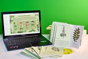 Гербарий натурально-интерактивный "Культурные растения" - fgospostavki.ru - Ейск