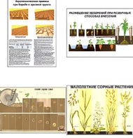 Плакаты ПРОФТЕХ "Агрономия" (5 пл, винил, 70х100) - fgospostavki.ru - Ейск