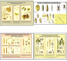 Плакаты ПРОФТЕХ "Вредители и болезни с/х культур и меры борьбы с ними" (11 пл, винил, 70х100) - fgospostavki.ru - Ейск
