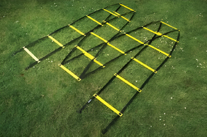 Лестница для тренировок (вариант 1) - fgospostavki.ru - Ейск