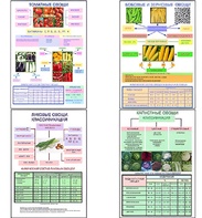 Плакаты ПРОФТЕХ "Классификация овощей" (11 пл, винил, 70х100) - fgospostavki.ru - Ейск