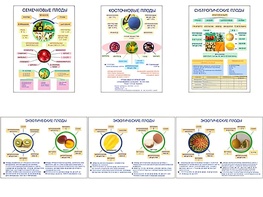 Плакаты ПРОФТЕХ "Плоды" (6 пл, винил, 70х100) - fgospostavki.ru - Ейск