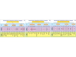 Плакаты ПРОФТЕХ "Ассортимент продовольственных товаров" (3 пл, винил, 70х100) - fgospostavki.ru - Ейск