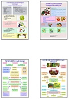 Плакаты ПРОФТЕХ "Классификация овощей и переработка" (8 пл, винил, 70х100) - fgospostavki.ru - Ейск