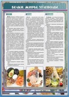 Стенд "Белки. Жиры. Углеводы" - fgospostavki.ru - Ейск