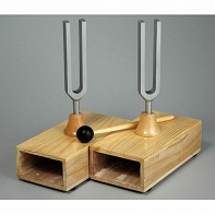 Камертоны на резонансных ящиках с молоточком - fgospostavki.ru - Ейск