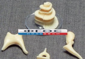 Модель "Косточки слуховые" - fgospostavki.ru - Ейск