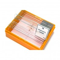 Набор готовых микропрепаратов (зоология) - fgospostavki.ru - Ейск