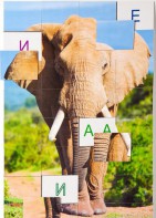 Магнитная орфография (безударные гласные, 1 класс) "Слон" - fgospostavki.ru - Ейск