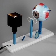 Модель "Зрение" (электрическая) - fgospostavki.ru - Ейск