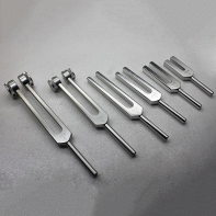 Набор камертонов - fgospostavki.ru - Ейск