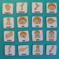 Набор карточек "Части тела" - fgospostavki.ru - Ейск