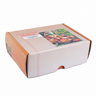 Набор муляжей грибов съедобных и ядовитых - fgospostavki.ru - Ейск