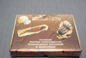 Коллекция "Формы сохранности ископаемых растений и животных" - fgospostavki.ru - Ейск