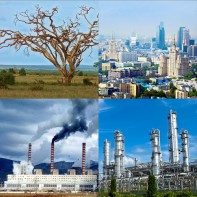 Модель-аппликация Биосфера и человек - fgospostavki.ru - Ейск