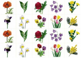 Комплект карточек "Запоминай, играй, считай" - Цветы - fgospostavki.ru - Ейск