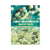 Набор «Тайны микробиологии» (Царство грибов) - fgospostavki.ru - Ейск