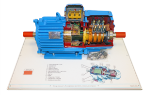 Стенд-планшет «Асинхронный двигатель с фазным ротором» - fgospostavki.ru - Ейск