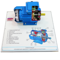 Стенд-планшет «Асинхронный двигатель с короткозамкнутым ротором» - fgospostavki.ru - Ейск