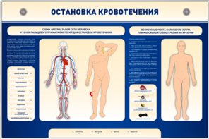 Электрифицированный стенд-тренажер "Остановка кровотечения" - fgospostavki.ru - Ейск