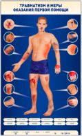 Электрифицированный стенд-тренажер "Травматизм и меры оказания первой помощи" - fgospostavki.ru - Ейск