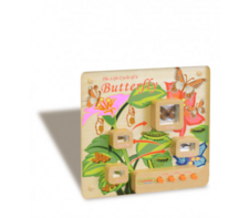 Панель «Жизненный цикл бабочки» - fgospostavki.ru - Ейск