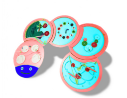 Тактильно-развивающая панель «Гусеница» - fgospostavki.ru - Ейск