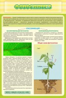 Стенд "Фотосинтез" - fgospostavki.ru - Ейск