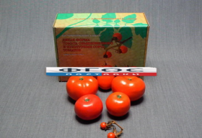 Набор муляжей "Дикая форма и культурные сорта томатов" - fgospostavki.ru - Ейск