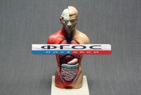 Модель Торс человека 42 сантиметра - fgospostavki.ru - Ейск