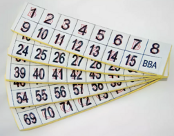 Фишки для игры «Бинго» со шрифтом Брайля - fgospostavki.ru - Ейск