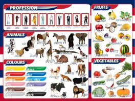 Стенд "Цвета, животные, профессии, фрукты, овощи" - fgospostavki.ru - Ейск