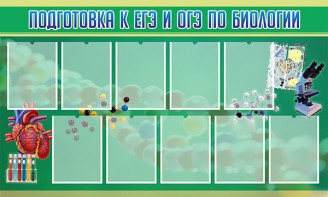 Стенд "Подготовка к ЕГЭ и ОГЭ по биологии" Вариант 2 - fgospostavki.ru - Ейск