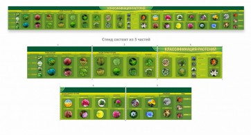 Стенд "Классификация растений" - fgospostavki.ru - Ейск