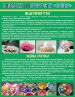 Стенд "Биология в профессии "повар"" - fgospostavki.ru - Ейск