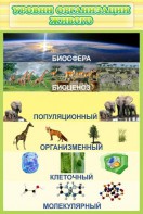 Стенд "Уровни организации живого" - fgospostavki.ru - Ейск