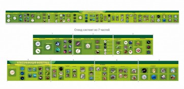 Стенд "Классификация групп животных" - fgospostavki.ru - Ейск