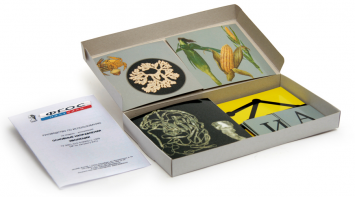 Модель-аппликация "Основные направления эволюции" (набор из 33 карт) - fgospostavki.ru - Ейск