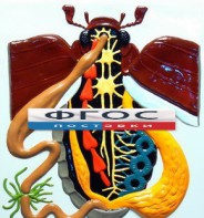 Модель барельефная "Внутреннее строение жука" - fgospostavki.ru - Ейск