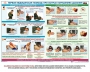 Комплект плакатов "Оказание первой доврачебной медицинской помощи" - fgospostavki.ru - Ейск