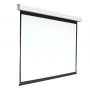 Экран настенный с электроприводом DSEF-16909 - fgospostavki.ru - Ейск